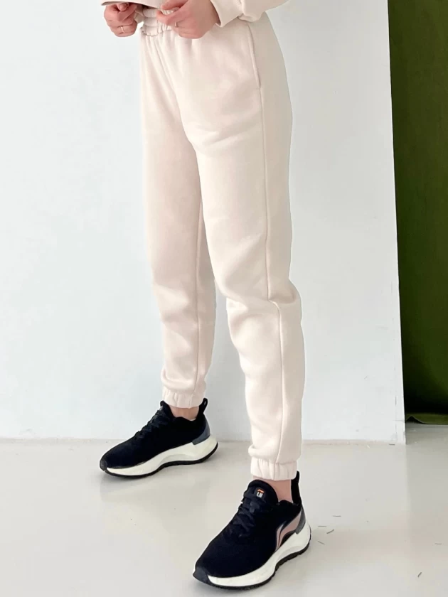 Брюки женские 6.Ж-199(3Н) трехнитка с начесом