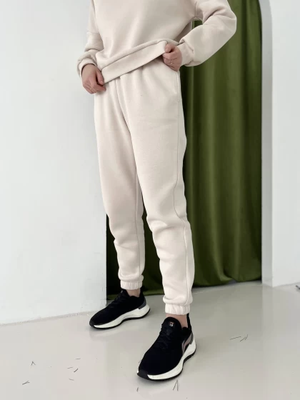 Костюм 199-3Н 46-3Н трехнитка с начесом