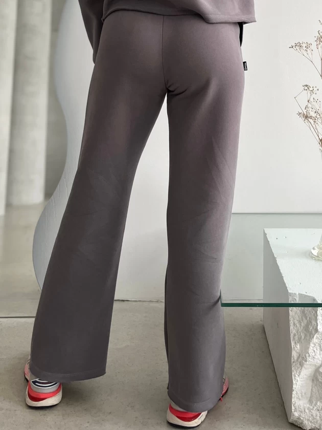 Брюки женские 229-3НБ 3-х нитка, начес,...