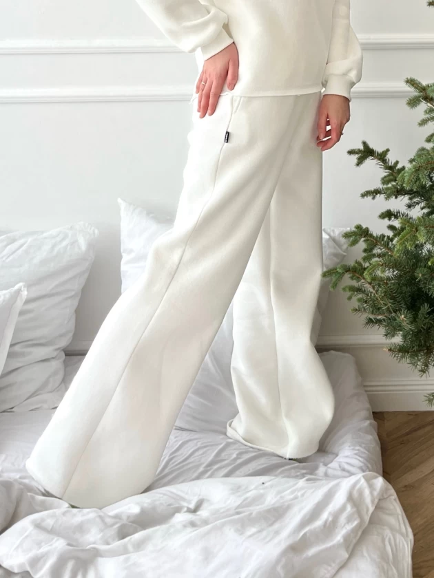 Брюки женские 229-3НБ 3-х нитка, начес,...