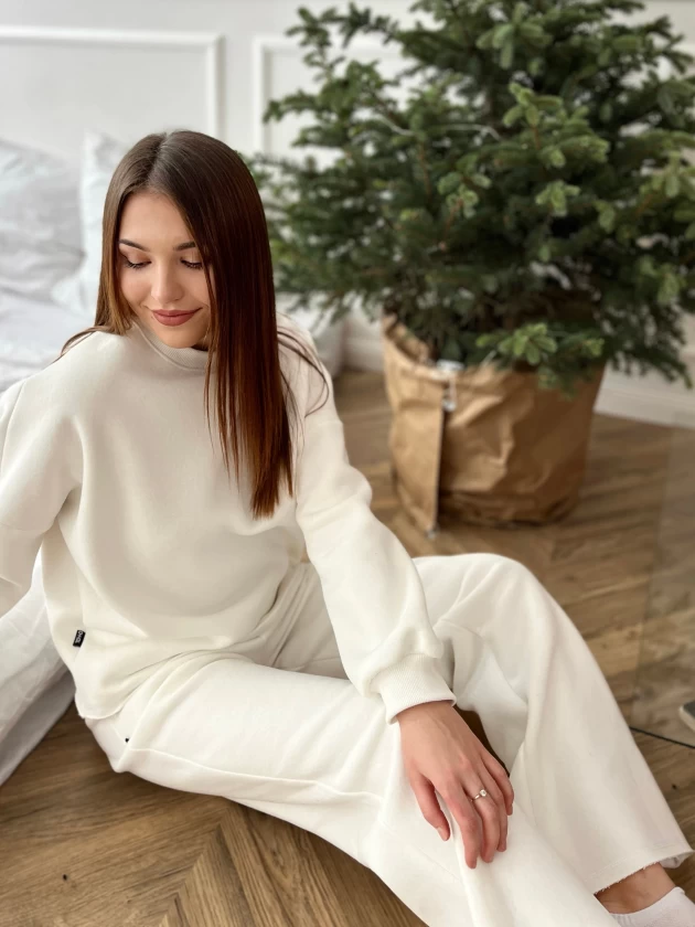 Брюки женские 229-3НБ 3-х нитка, начес,...