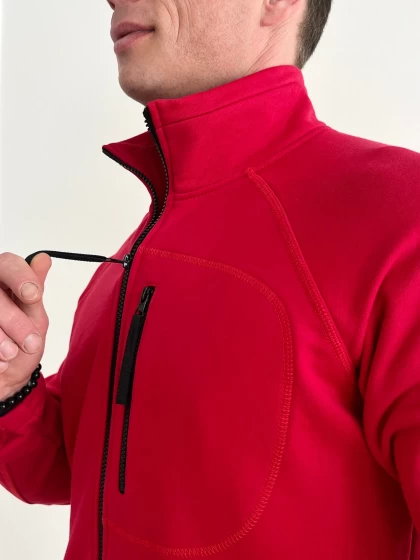 Толстовка мужская 196-3Д трехнитка