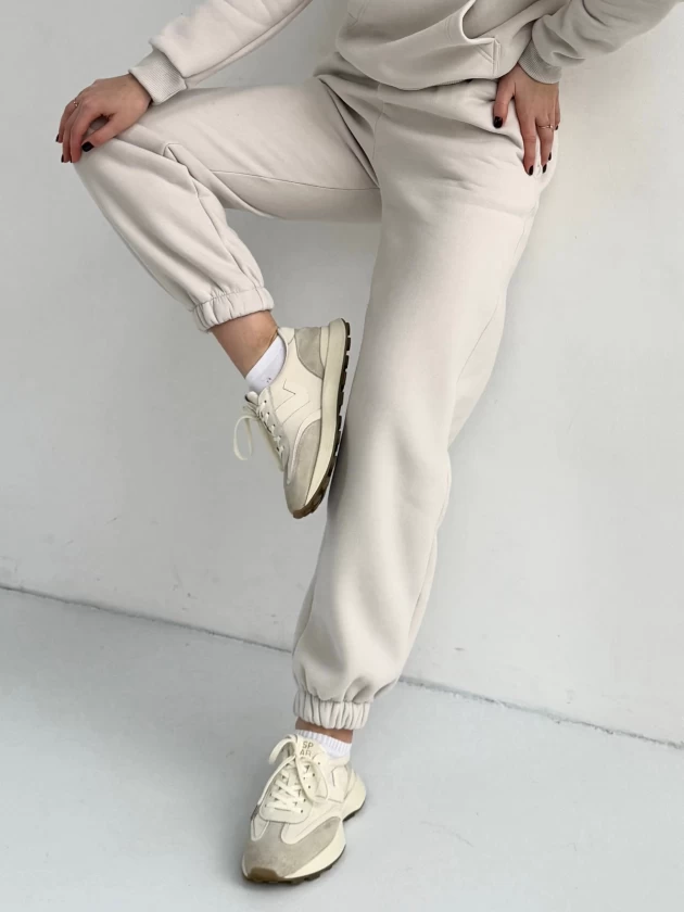 Брюки женские 269-3НБ 3-х нитка, начес,...