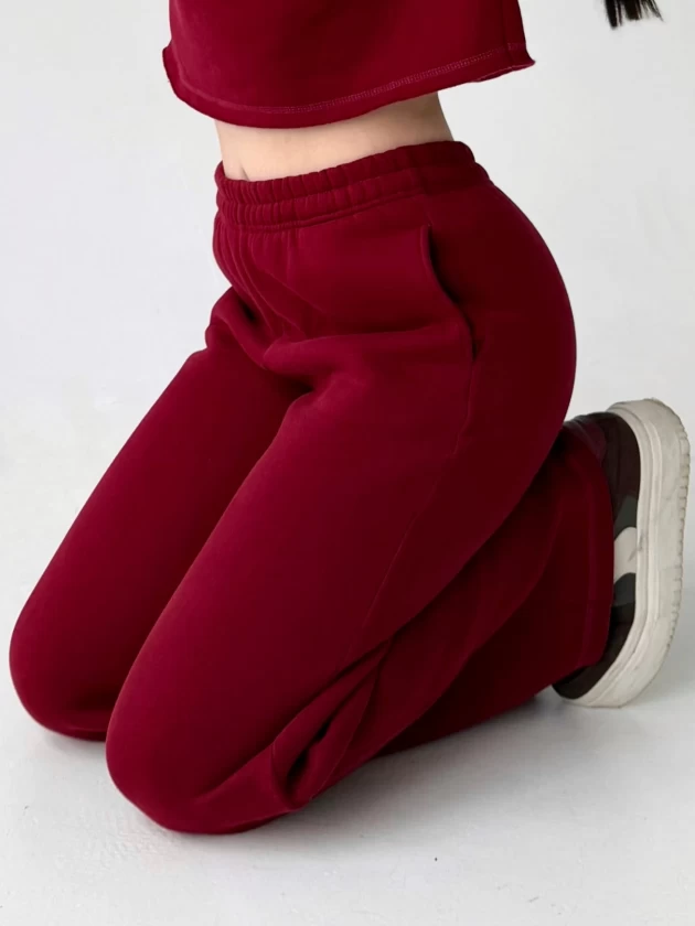 Брюки женские 229-3НБ 3-х нитка, начес,...