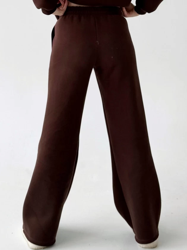 Брюки женские 229-3НБ 3-х нитка, начес,...