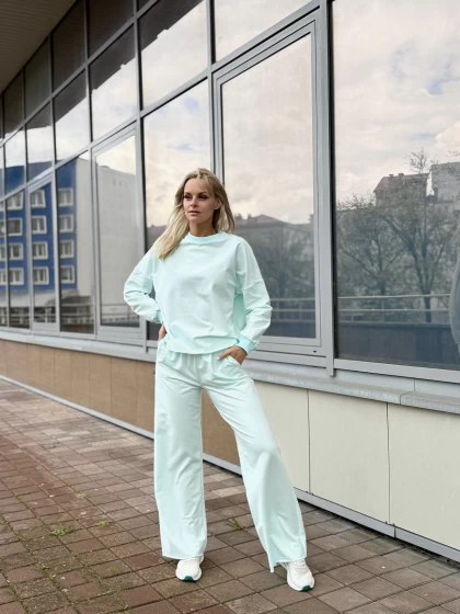 Костюм 229-1Б 210-1Б двухнитка с бархатным эффектом