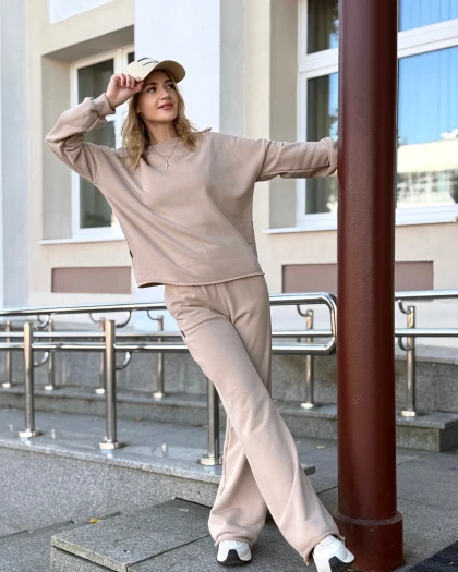 Костюм 229-3Б 210-3Б трехнитка с бархатным эффектом