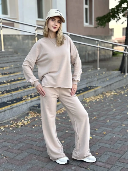 Костюм 229-3Б 210-3Б трехнитка с бархатным эффектом