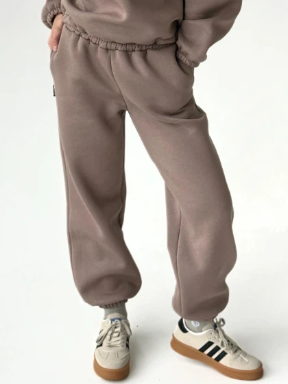 Брюки женские 269-3Н трехнитка с начесом