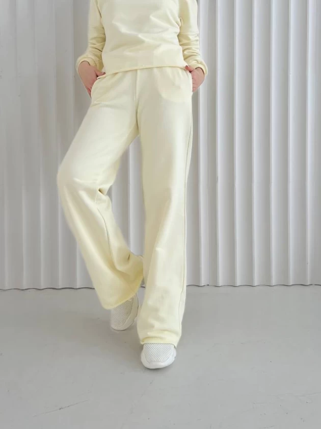 Брюки женские 229-3Д трехнитка