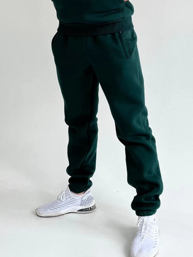 Брюки мужские 312-3Н трехнитка с начесом