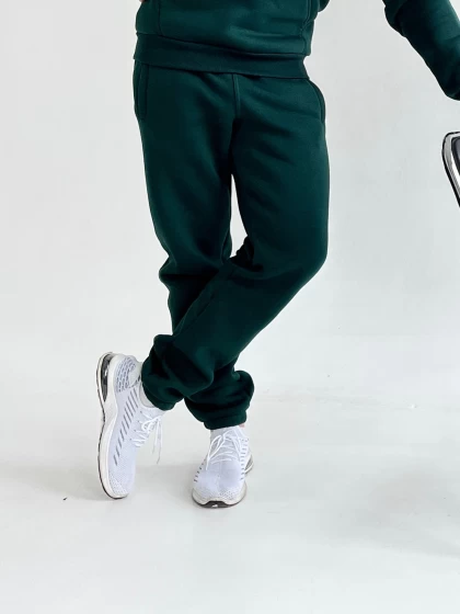 Брюки мужские 312-3Н трехнитка с начесом