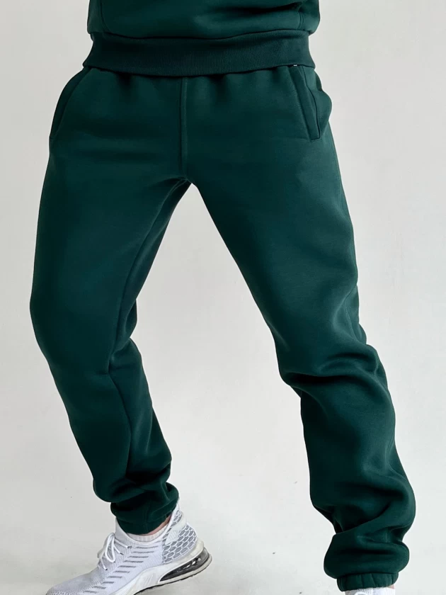 Брюки мужские 312-3Н трехнитка с начесом