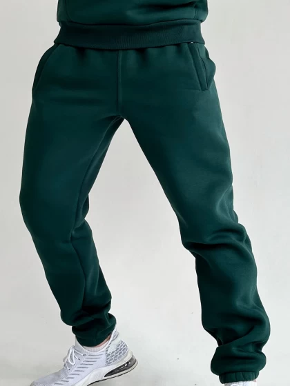 Брюки мужские 312-3Н трехнитка с начесом