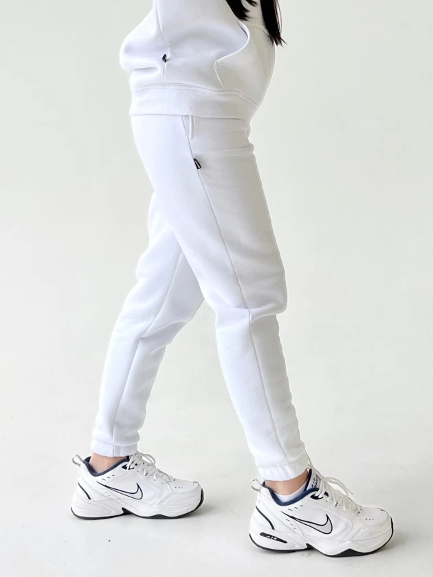 Брюки женские 199-3Н трехнитка с начесом