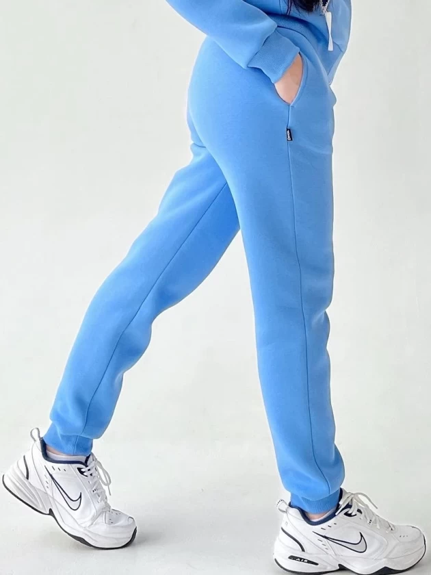 Брюки женские 192-3Н трехнитка с начесом