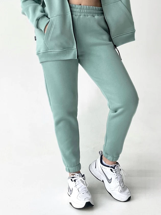 Брюки женские 199-3Н трехнитка с начесом